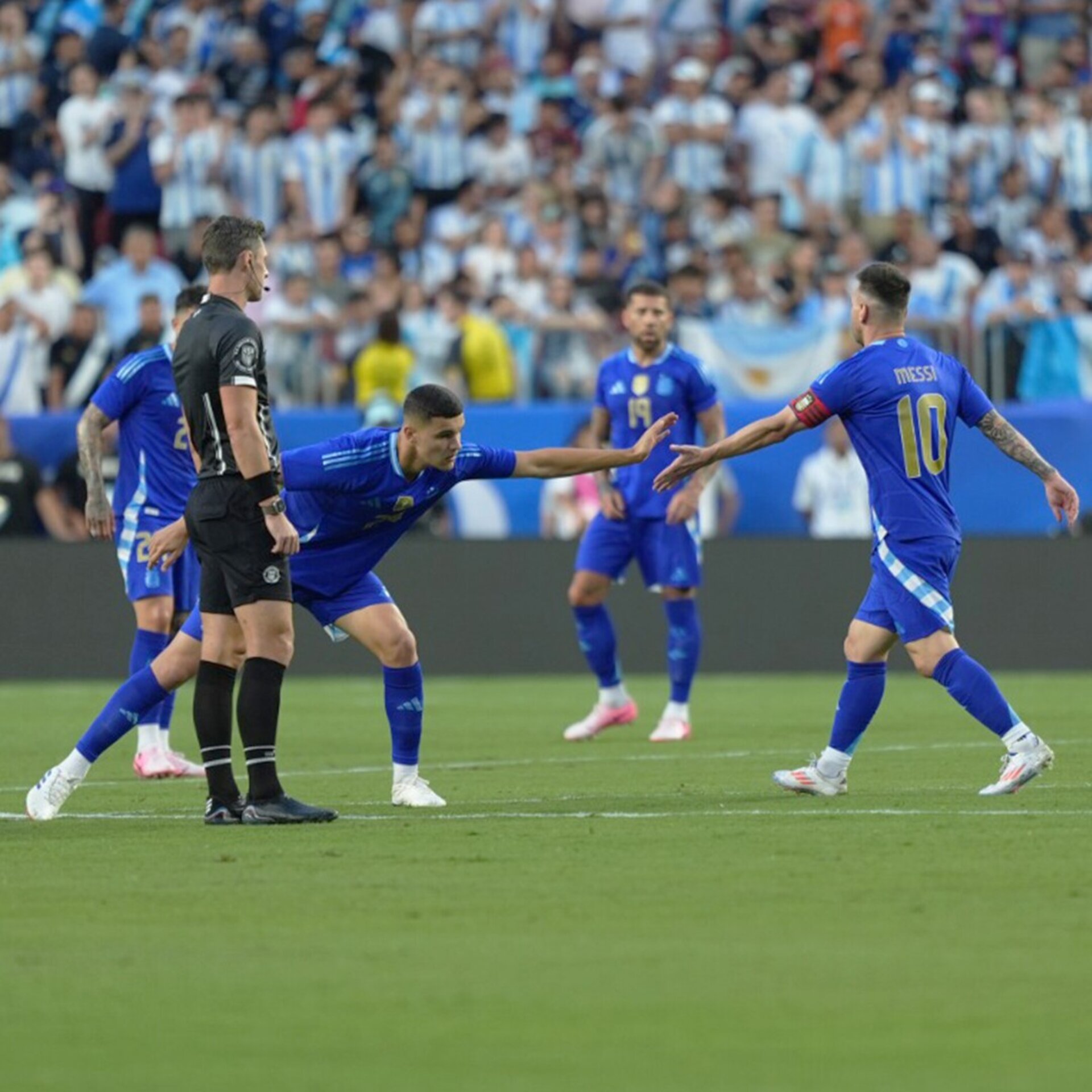Argentina 2024 Visitante Profesional - 3