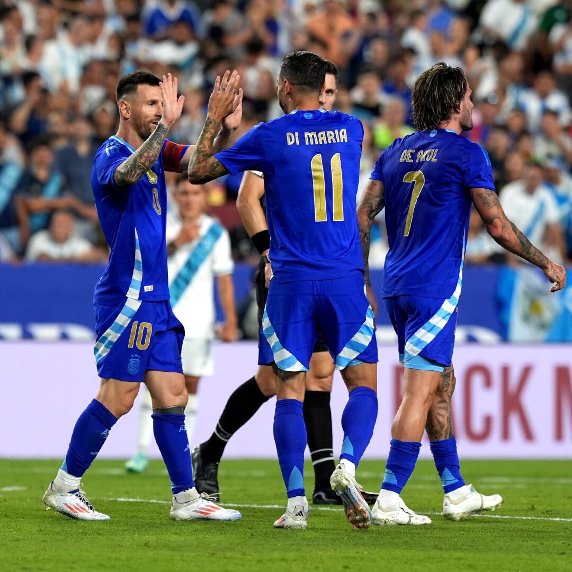 Argentina 2024 Visitante Profesional - 2