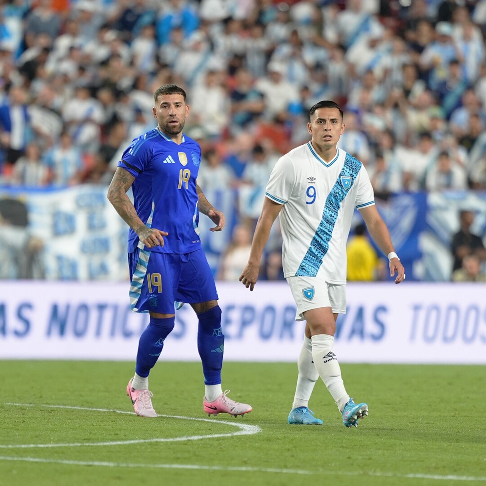 Argentina 2024 Visitante Profesional - 4